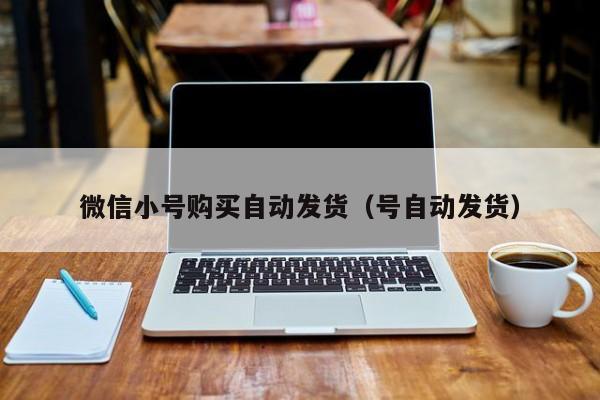 微信小号购买自动发货（号自动发货）