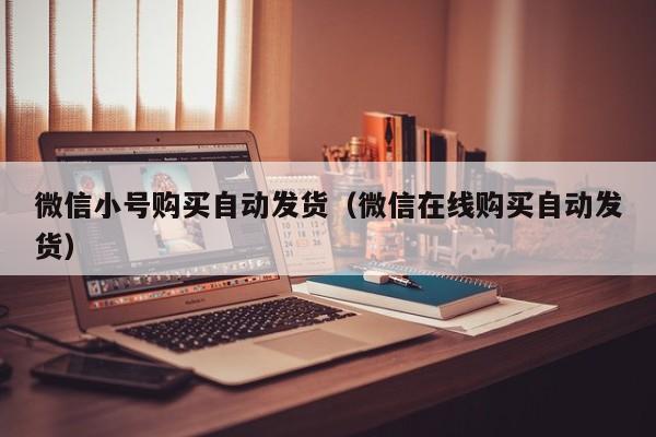 微信小号购买自动发货（微信在线购买自动发货）