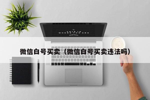 微信白号买卖（微信白号买卖违法吗）